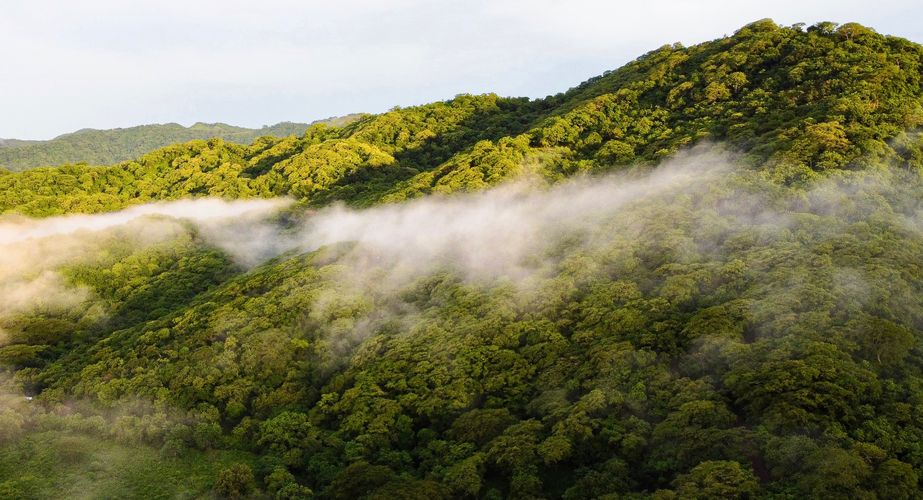 Wouden van Costa Rica